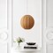 Jonathan Y Sia 16" 1-Light Scandinavian Japandi Adjustable Lantern Metal w/Ribbed Cocoon Globe Shade LED Pendan JYL4206D - alternate 10