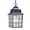 Homeroots Matte Black Window Pane Lantern Hanging Light 398010 - alternate 1