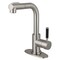 Kingston Brass Single-Handle Pull-Out Kitchen Faucet, Brushed Nickel LS2418DKL - alternate 1