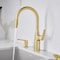Blanco Rivana Pull-Down 1.5 GPM, Satin Gold 442985 - alternate 6