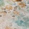 Homeroots 5' X 8' Teal Blue And Green Floral Washable Indoor Outdoor Area Rug 583143 - alternate 9