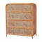 Bali & Pari Sampit Natural Rattan Storage Cabinet 261-13704-ZORO - alternate 1