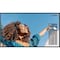Sharp PNHS501 50" Class 4K Ultra-HD TFT LCD Professional Display, High Brightness PN-HS501 - alternate 1