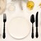 Smarty Had A Party Black Baroque Disposable Plastic Dinner Knives, 480PK 8320-B-CASE - alternate 1