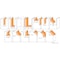 Cmt 13-PIECE ROUTER BIT SET S=1/2in 800.505.11 - alternate 4