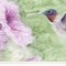 Homeroots Set Of Two Humming Bird 1 and 2 White Framed Print Wall Art, 2PK 408045 - alternate 7