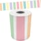 Teacher Created Resources Pastel Pop Stripes Straight Rolled Border Trim, 50 Feet, 3PK TCR9156 - alternate 4