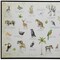 Homeroots Jungle Animals Alphabet Black Floater Frame Wall Art 573460 - alternate 7