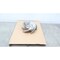 Goulds Water Technology STAINLESS 6-VANE PUMP IMPELLER 22IN OD 3175LT 16X18-22 - alternate 1