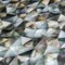 Apollo Tile Black 11.8 in x 11.8 in Shell Polished Floor and Wall Mosaic Tile 19.33 sqft/case, 20PK APLJWS8805A - alternate 9