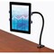 Startech.Com Tablet Stand - Gooseneck ARMTBLTUGN - alternate 4