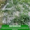 Farm Plastic Supply Jute Erosion Control Cloth, 4ftx225ft, Soil Saver Mesh Blanket, Jute Netting Z-Jute-4001 - alternate 7