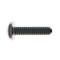 Zoro Select #8-32 x 5/8 in Phillips Pan Machine Screw, Plain 18-8 Stainless Steel, 25 PK 31-PP-8C-62 - alternate 4
