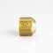 Dormont 5/8in. 15/16 Female Thread Gas Flare Cap SAFETYCAP-04R - alternate 1