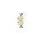Pass & Seymour Double Combination Switch, 15 A, 120/277 VAC, Side Wire Terminal, Ivory 690IGCC6 - alternate 1