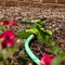 Ames Lawn Sprinkler, 3-Arm, Rotating, 360-Degree Rotation, 18 ft Coverage 20216400 - alternate 8