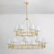 Hudson Valley Lighting Howard 15 Light Chandelier in Aged Brass by Mark D. Sikes MDS1802-AGB - alternate 7