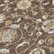 Homeroots 9' X 12' Chocolate Ivory And Gray Moroccan Washable Indoor Outdoor Area Rug 605155 - alternate 9