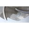 Goulds Water Technology 8IN STAINLESS 5-VANE PUMP IMPELLER 1X2-10 3196M - alternate 6