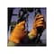 Gloveworks By Ammex Disposable Gloves Nitrile One Size Fits Most Orange Powder Free Orange GWON6PK - alternate 10