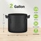 Ipower HealSmart Plant Grow Bags 2 Gallon, Tomoato Planter Pots with Handles, Black 2024 Version, 10PK GLGROWBAG2X5BLKV5X2 - alternate 7
