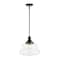 Jonathan Y Schoolhouse 14" 1-Light Bohemian Farmhouse Iron/Glass LED Pendant, Oil Rubbed Bronze/Clear JYL7585A - alternate 1
