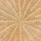 Bali & Pari Abena Bohemian Scalloped Light Honey Rattan Dining Table 258-14188-ZORO - alternate 10