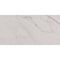 Daltile Core Fundamentals Platinum 12'' x 24'' Floor Tile 17.60 SQFT Per Carton, 9PK CT76RCT1224MTJ1 - alternate 7