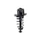 Fcs Struts Suspension Strut And Coil Spring Assembly 1345782R - alternate 1
