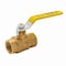 Proline Series Brass 2-in FIP x 2-in FIP Ball Valve 107-828NL - alternate 1