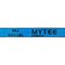 Mytee Products 2inx20ft Blue Winch Straps w/Wire Hooks for Flatbed Truck - 3333 lbs WLL, 10PK WS220WH-Bx10 - alternate 8