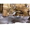 Vermeer ENGINE-CAT C18 600HP, TIER, OEM 635215586 - alternate 6