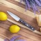 Martha Stewart Everyday 3.5 Inch Stainless Steel Paring Knife in Dark Gray with Wood Handle 128771.01 - alternate 5