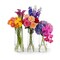 Azar Displays Vase Set, Small, 3PK 556968-SET - alternate 5