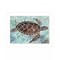 Homeroots Sea Turtles Collage 1 White Framed Print Wall Art 407866 - alternate 1