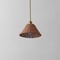 Jonathan Y Hattie 12 in. 1-Light Coastal Bohemian Metal and Woven Rattan LED Pendant Light, Gold Painting/Brown JYL5712A - alternate 11