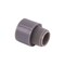 Carlon 1-1/4 in. PVC Conduit Male Adapter Gray E943G - alternate 4