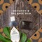 Nubian Heritage Detox And Balancing Bar Soap, 5 Ounce, 24PK 68410060 - alternate 8