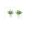 Monarch Specialties Artificial Plant, 16-in. Tall, Eucalyptus Grass, Table, White Pots, Contemporary, Modern, 2PK I 9368 - alternate 3