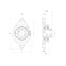 Ntn Stainless Steel Two Bolt Flange SUCFL207 - alternate 3