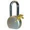 Trimax Padlock TPL2251L - alternate 1