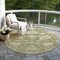 Homeroots 8' Artichoke Green Ivory And Tan Round Floral Washable Indoor Outdoor Area Rug 605183 - alternate 9