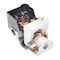 T Series Standard Motor Products, Headlight Switch,  DS155T - alternate 1