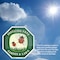 Signmission Pesticide Free Garden & Lawn, 4 inch X 4 inch, Vinyl Decal, 2PK OC-D-2PACK-4-124 - alternate 4