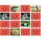 Stages Learning Materials Photographic Memory Matching Game, Animals SLM-220 - alternate 1