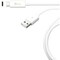 J5 Create USB TYPE-C 2.0 TO TYPE-A CABLE JUCX08 - alternate 4
