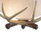Vaxcel Lodge 12-in W Cream Rustic Antler Bowl Semi Flush Mount Ceiling Light Cream Glass CF33012NS - alternate 9