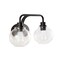 Jonathan Y Sandrine 17.5" 2-Light Iron/Seeded Glass Cottage Rustic LED Vanity Light, Oil Rubbed Bronze JYL7527A - alternate 14