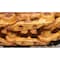 Cnh CHAIN ASSEMBLYCE, CNH OEM R56514 R56514 - alternate 4