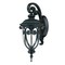 Homeroots Matte Black Hanging Goblet Wall Light 398503 - alternate 1